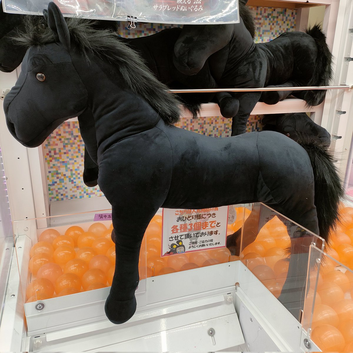 ?ぬいぐるみ入荷情報? くたっとGIGAサラブレッド 圧倒的な存在感 
