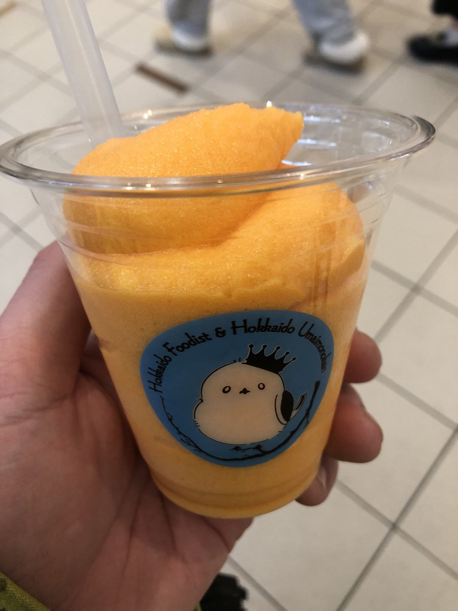 メロンシェイクのためにお台場来た(強がり)