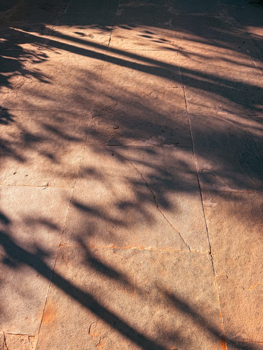 artizzzz's tweet photo. December -in fragments .
Small warmths and winter light .
#WinterThings
#DecemberDiaries
#Light
#Moments https://t.co/fisQXLQaTk