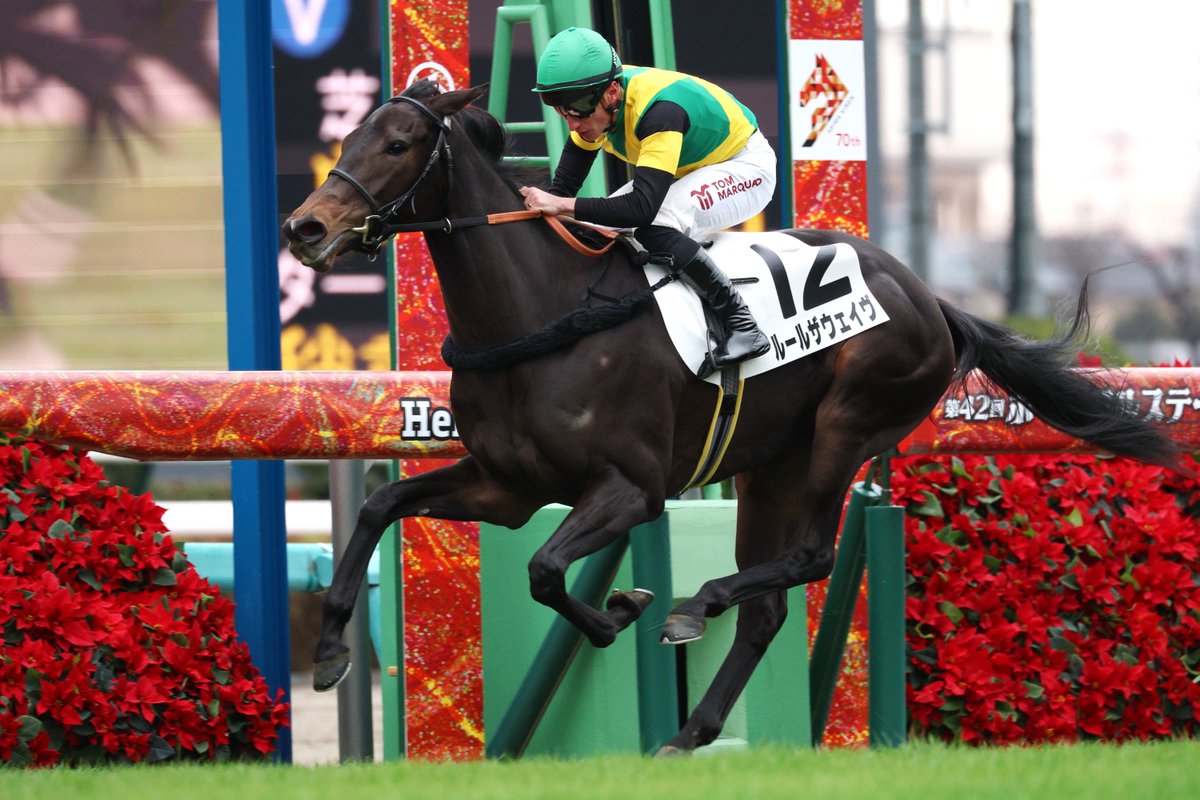 ロードカナロア馬券 メイクデビュー ロードカナロア馬券 メイクデビュー 【公式通販】