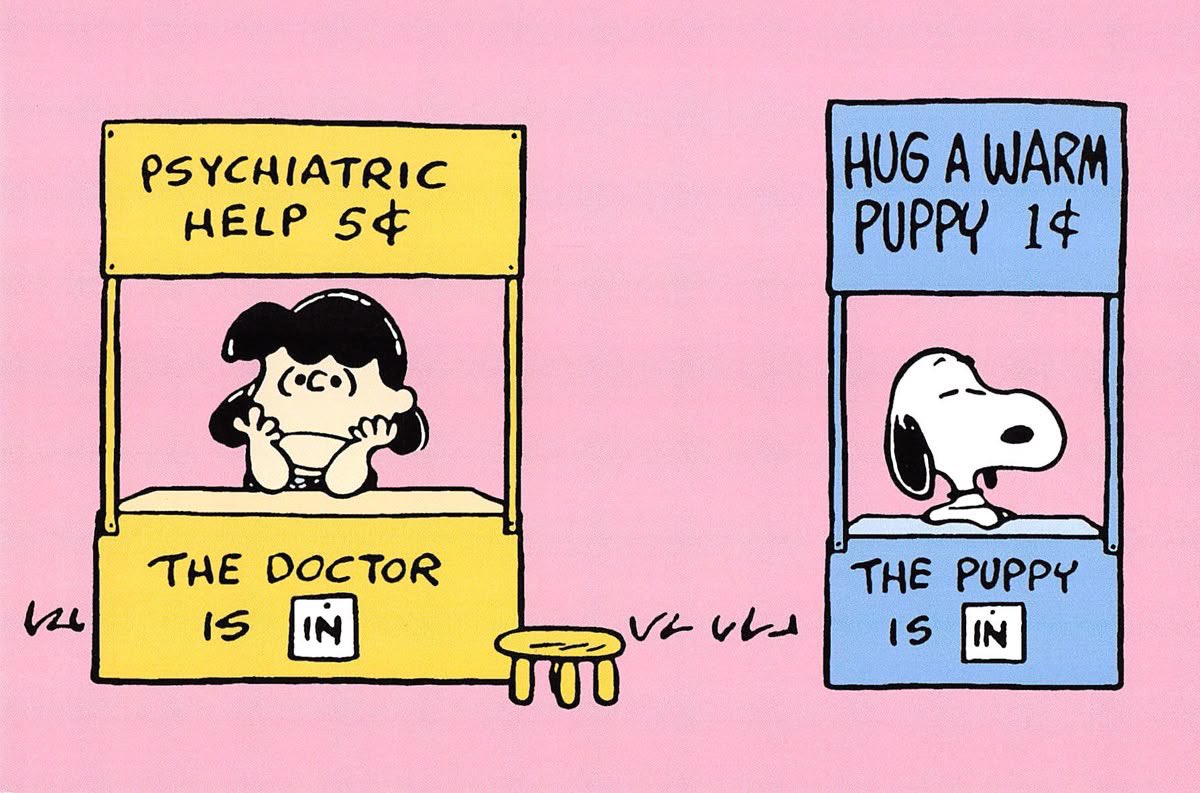 DailySnoopys's tweet image. 