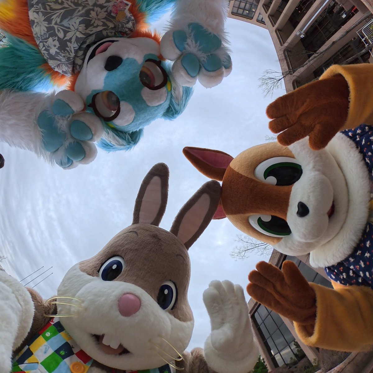 今日ははつじゅー会来たよ