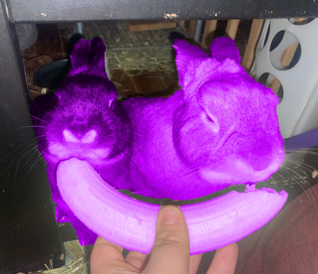 no way. banana that turns you purple