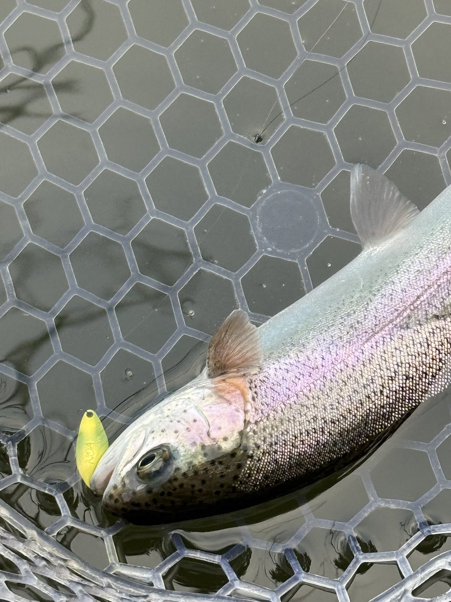 stringfishing's tweet image. だんだん思い出してきた