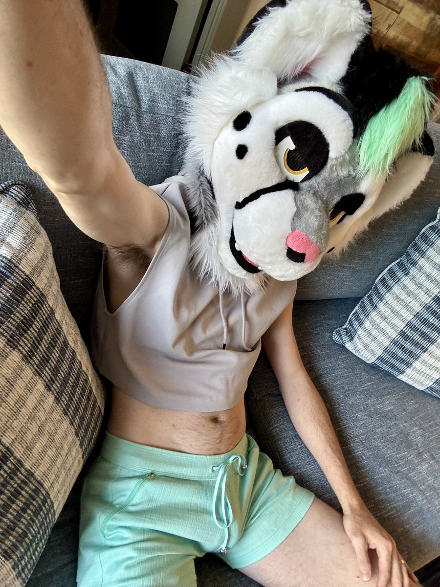 SpeedySnep tweet media