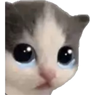 sorry, it may take a while to receive the reservation requests because of this app's encryption... it won't let me see the messages outside of my phone 🥹😭

Rest assured I can see them!! it just takes a while to load