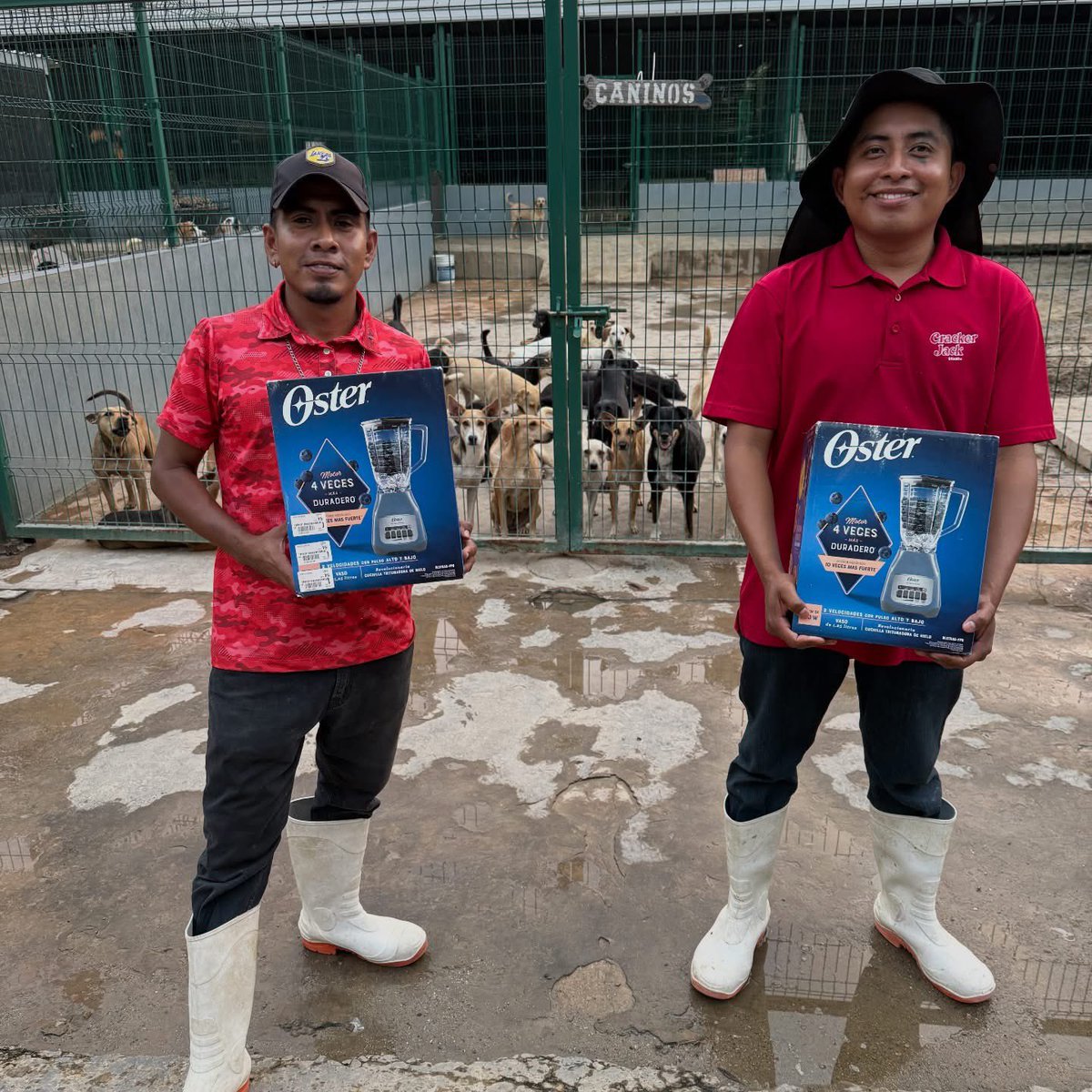 Santa se acordó de los chicos que trabajan y cuidan a nuestros patrones 24/7. Gracias de corazón, señora Gilda @gildaruiz19 se pusieron muy contentos y agradecidos por este hermoso detalle. Cuando se piensa en quienes lo dan todo, también se les regala un poquito de alegría ✨🎅.