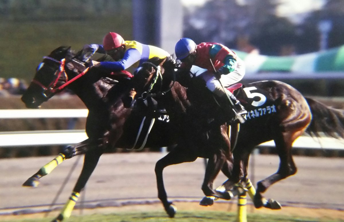 エアシャカール　菊花賞 エアシャカール菊花賞