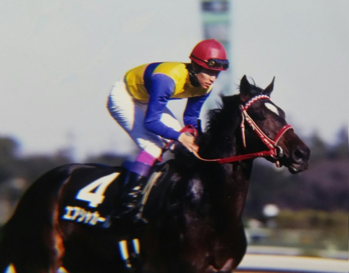 エアシャカール　菊花賞 2000 Kikuka Sho (GⅠ) | Air Shakkar | JRA Official - YouTube