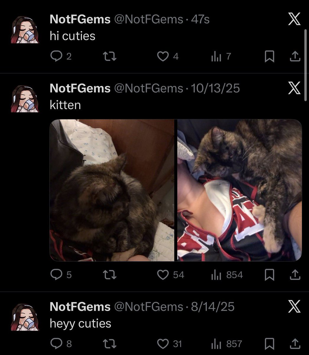 NotFGems's tweet image. apparently i was thinking the same thing on august 14 lol, you guys are just my cuties what can i say (with kitten in between❤️)