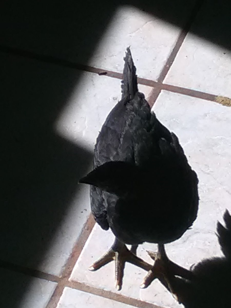 he was so cute (and still is)