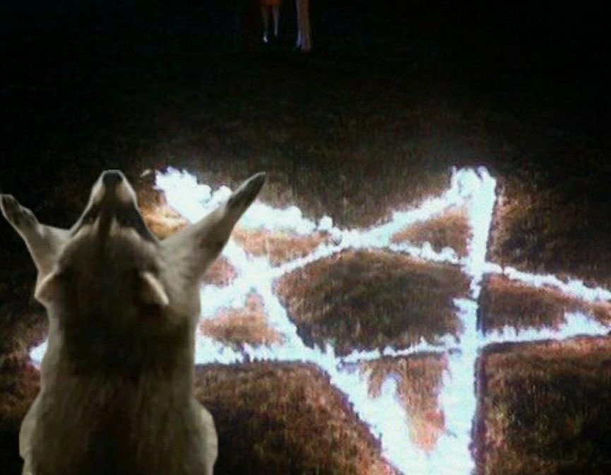 https_nrmlly's tweet image. HARLAN GUTHRIE!! GIVE ME MORE CHARLIE CONTENT AND MY SOUL IS YOURS