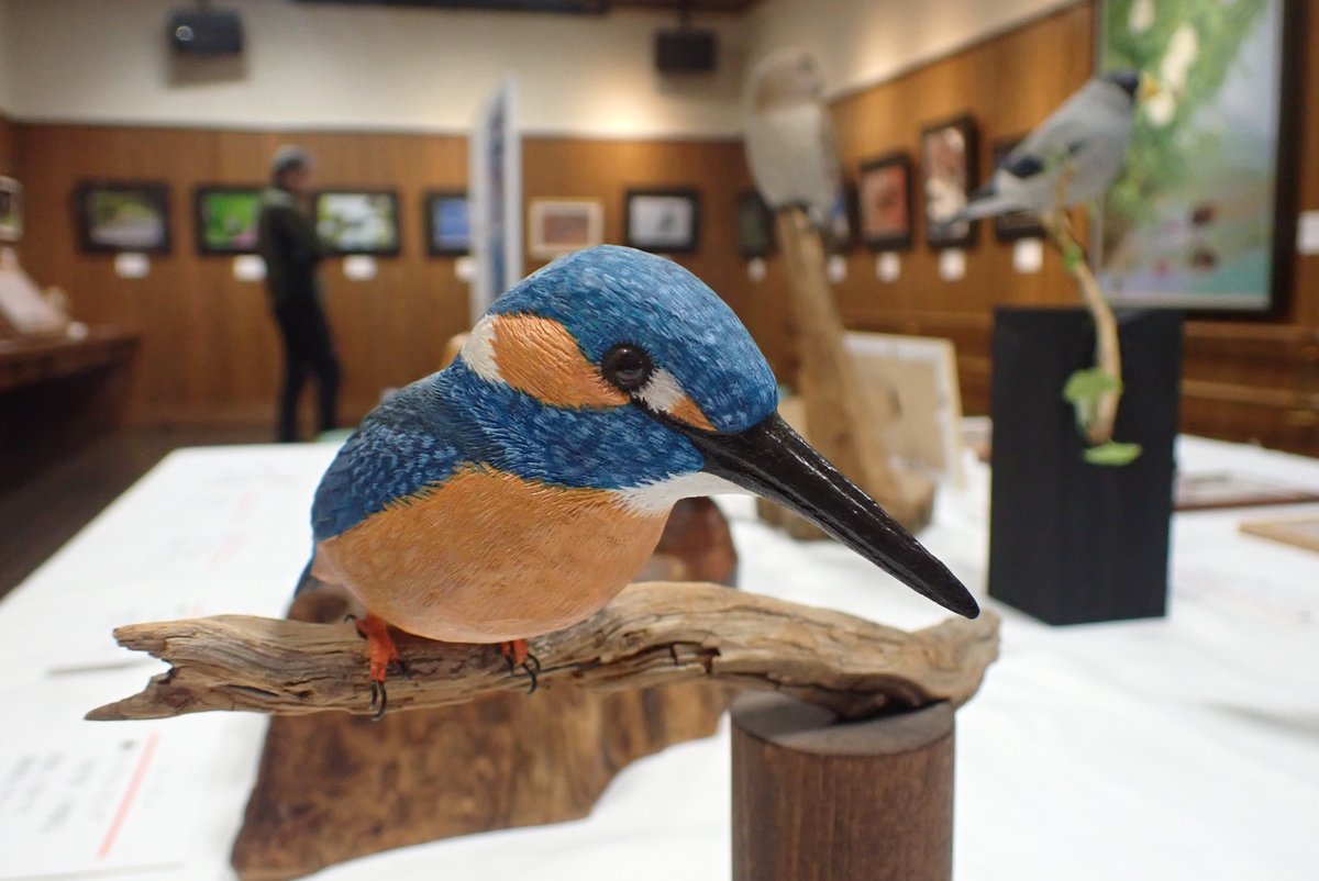 浜松野鳥の会 創立50周年記念 2025 野鳥展」静岡県立森林公園ビジター