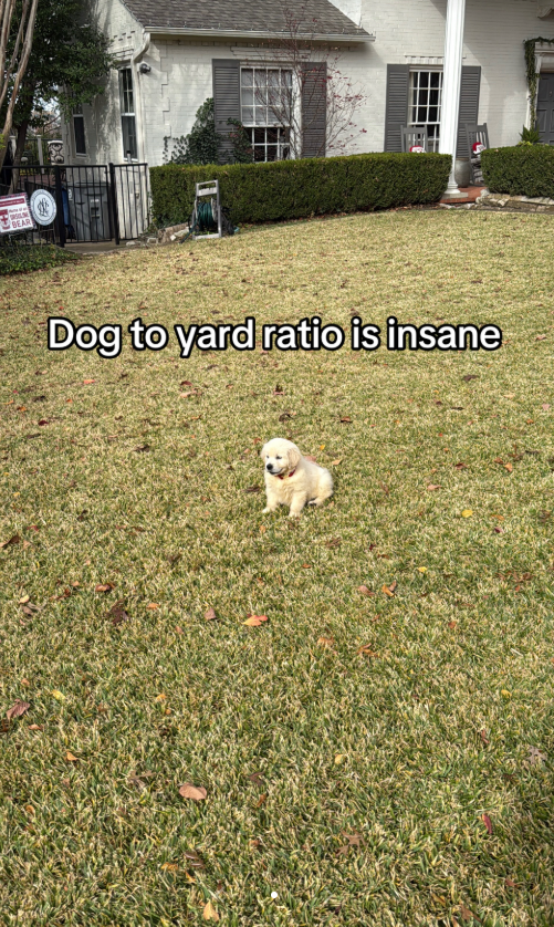 krazington's tweet photo. https://t.co/M2va7SDJXX