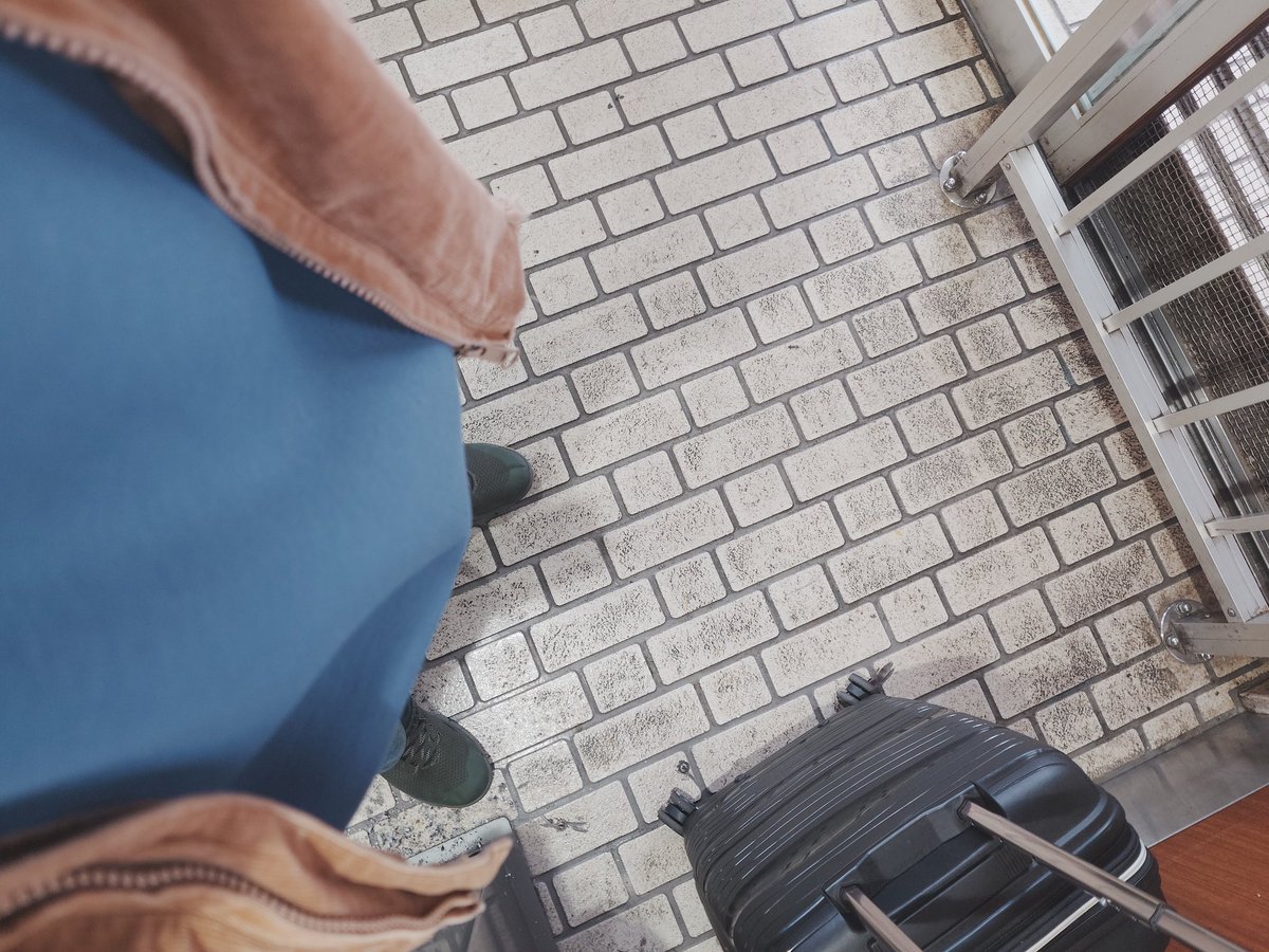 81O2point_B's tweet image. 失敗した
ビビット過ぎるねこのパーカー