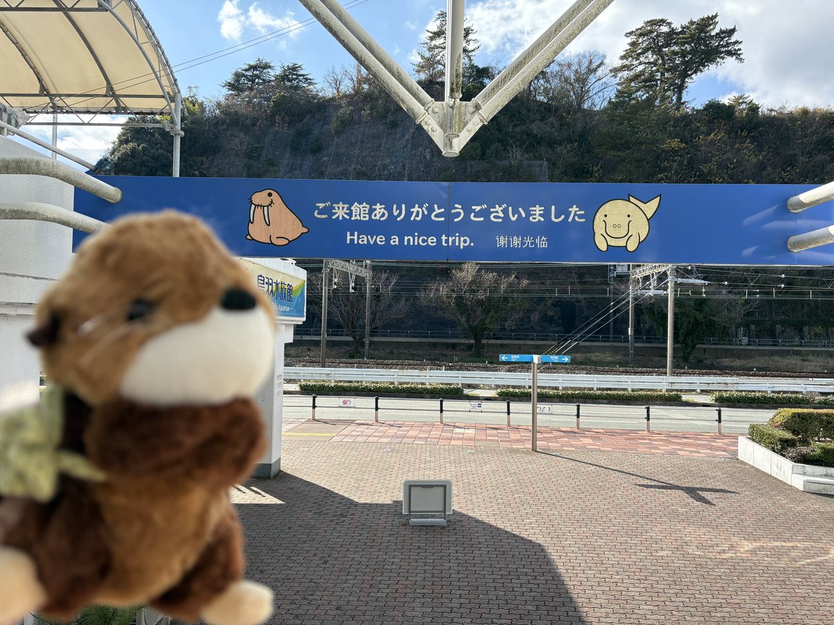 calmbogey's tweet photo. ずっと来たかったもんね〜🦦🫧 https://t.co/1uVDxBD0G0