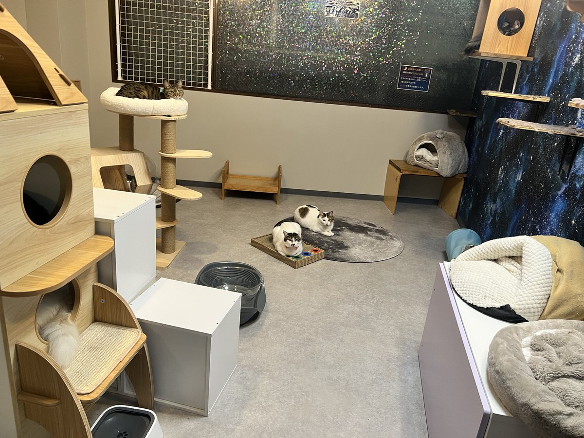 まったりしまくりです！