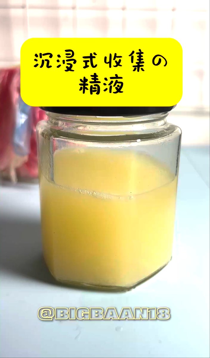 Maya大杰 tweet media