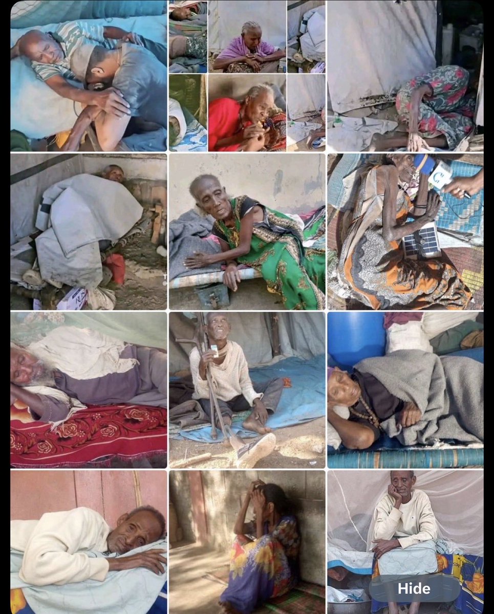 MediaKaleb's tweet photo. Hundred of thousands people displaced from #WesternTigray, #Ethiopia are suffering from starvation and lack of medications.
90% of the 1.8 million displaced people living in different parts of #Tigray and #Sudan are in acute malnourished. 
@WHO @SavetheChildren @hrw @Seare_Hailu https://t.co/dJOmK9DDFR