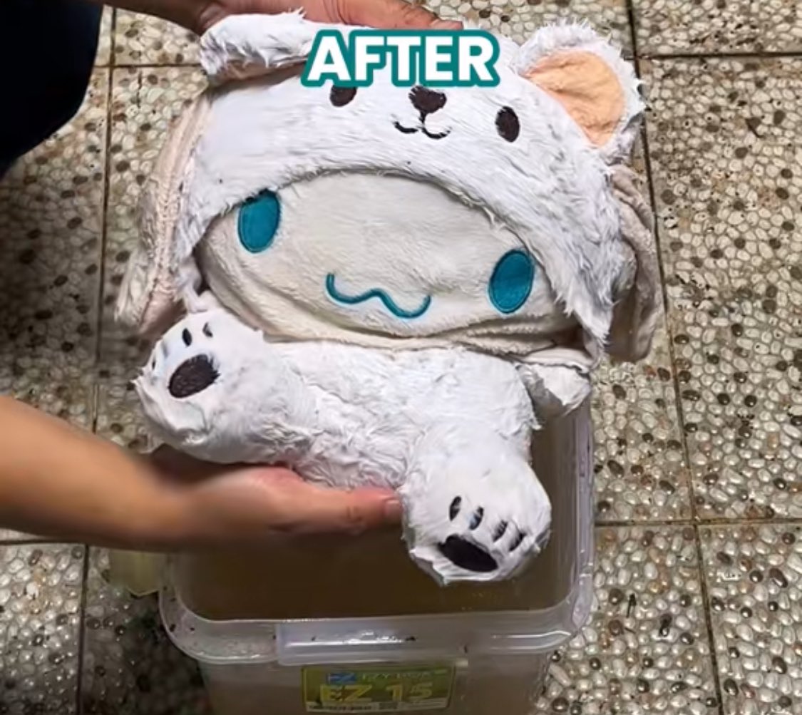 Loxus Cleaner tweet media