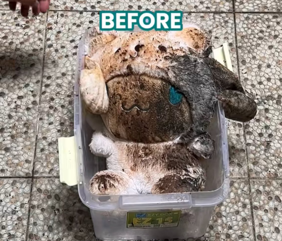 Loxus Cleaner tweet media