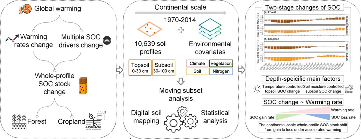 45 years of data show US soil carbon responds to warming in two stages.
Early warming drove SOC losses; later warming slowdown coincided with halted decline.
Topsoil SOC tied to temperature, subsoil SOC to soil moisture.

doi.org/10.1016/j.geos…

#SoilCarbon #CarbonSequestration