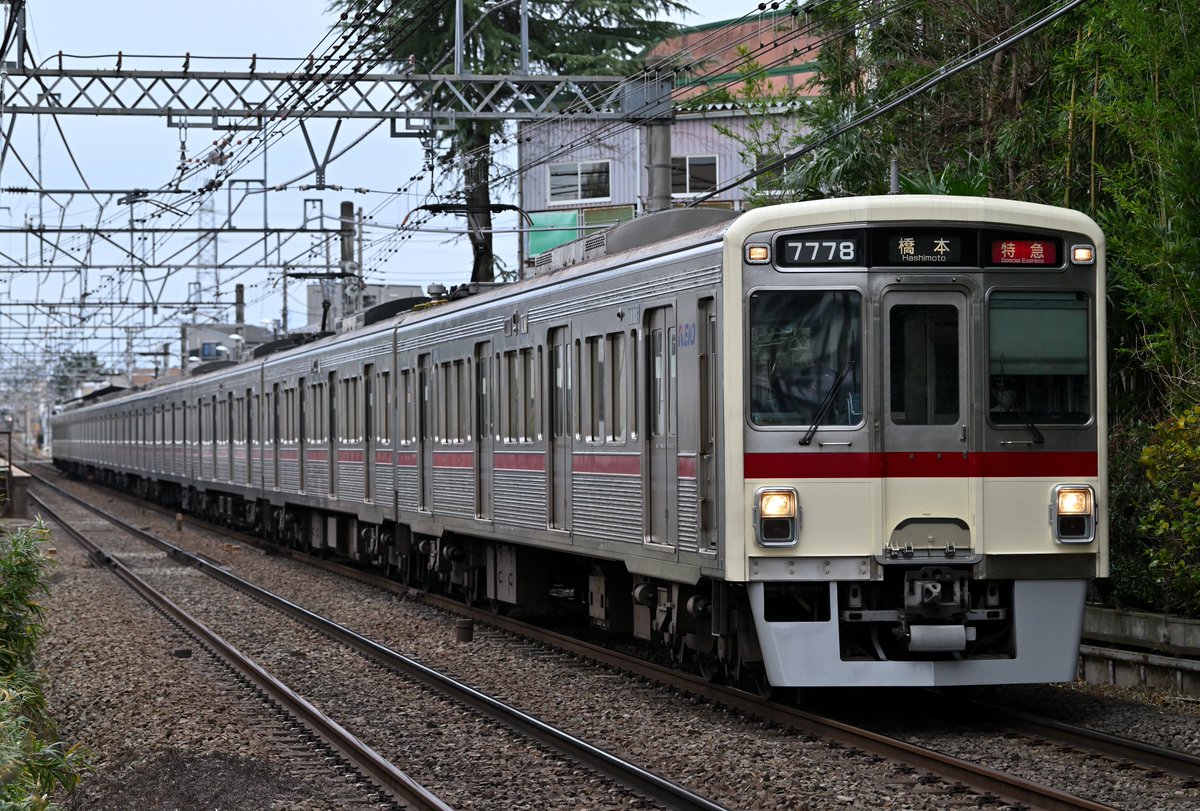 つばめ様 つばめ (@tsubame5000) / Posts / X