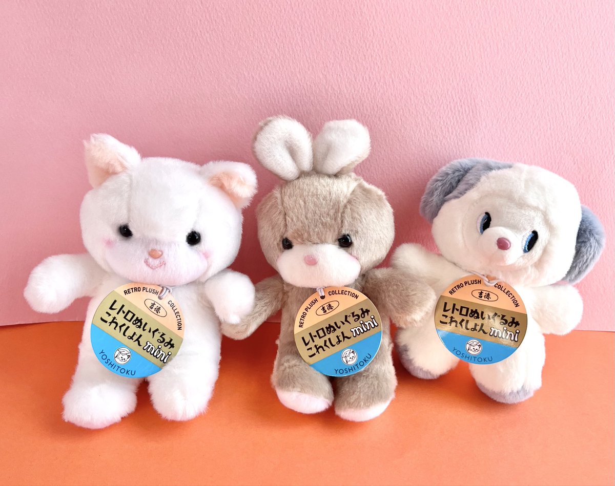 宇山あゆみ (@canariarock) / Posts / X