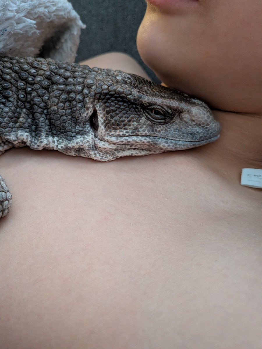 どてちんと次男