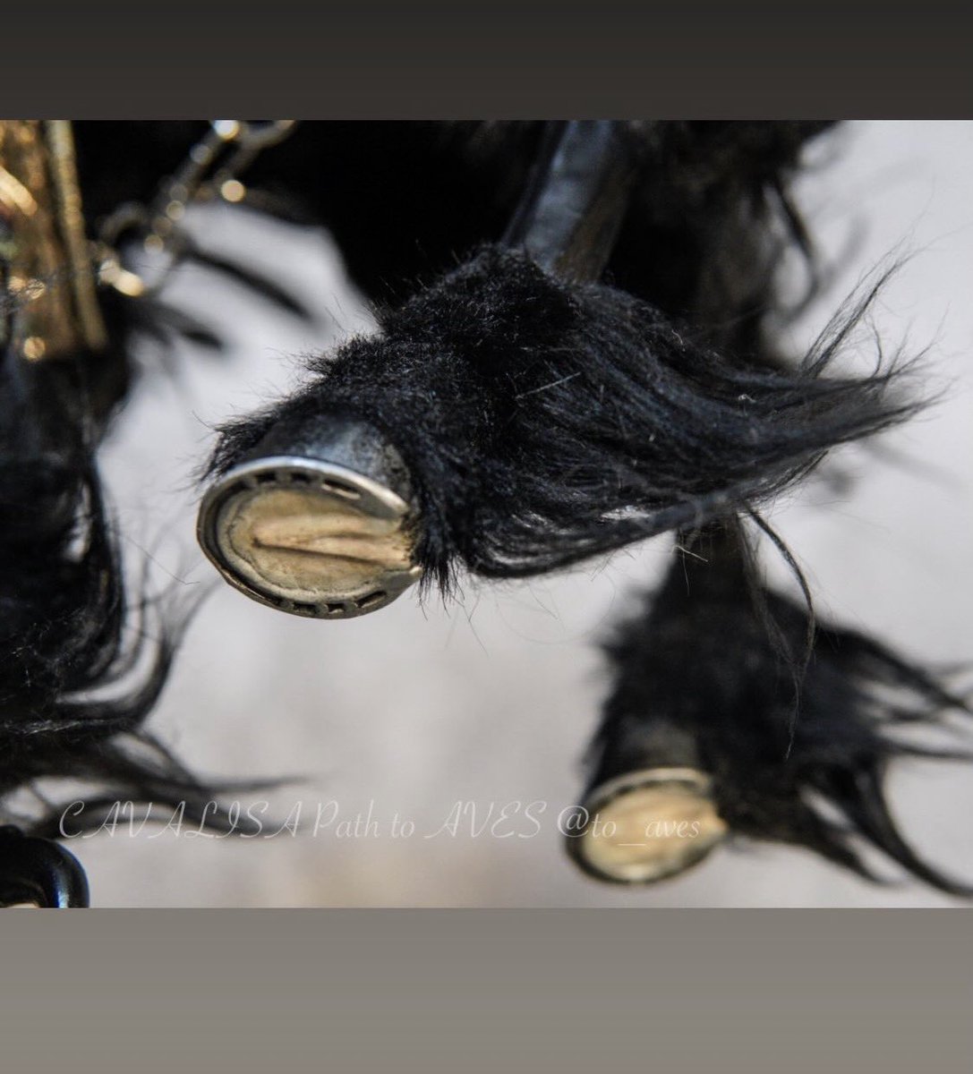 CAVALISA/アートドール作家 (@to_aves) / Posts / X