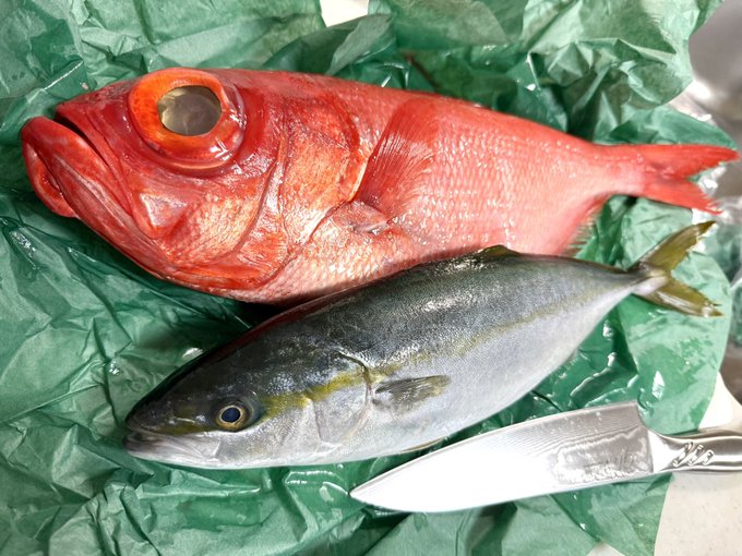 切り納めに金目鯛とイナダ 