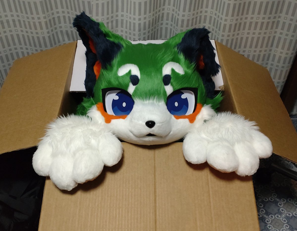 ナチョス/トーマ tweet media