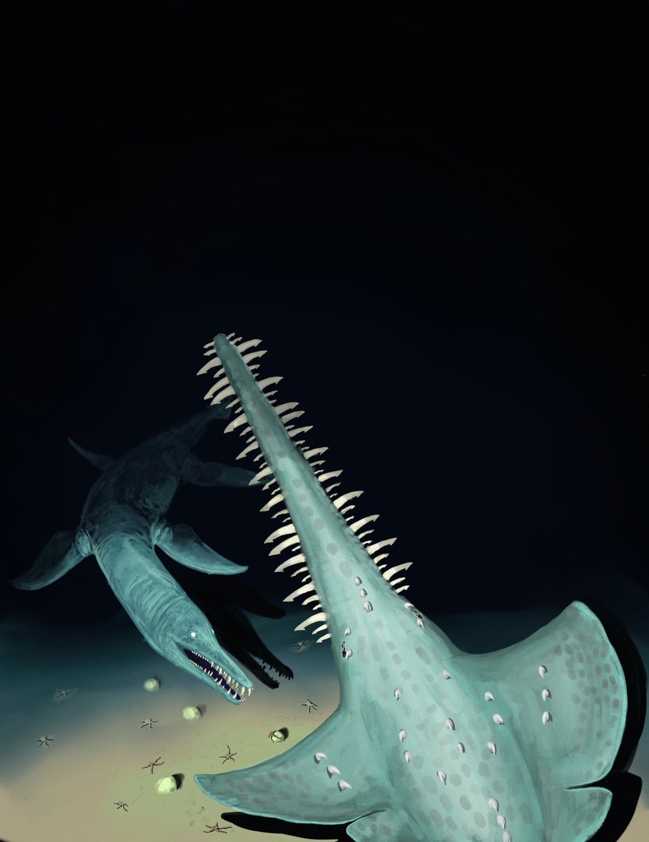 Liam Elward Paleoart 🇵🇸 tweet media