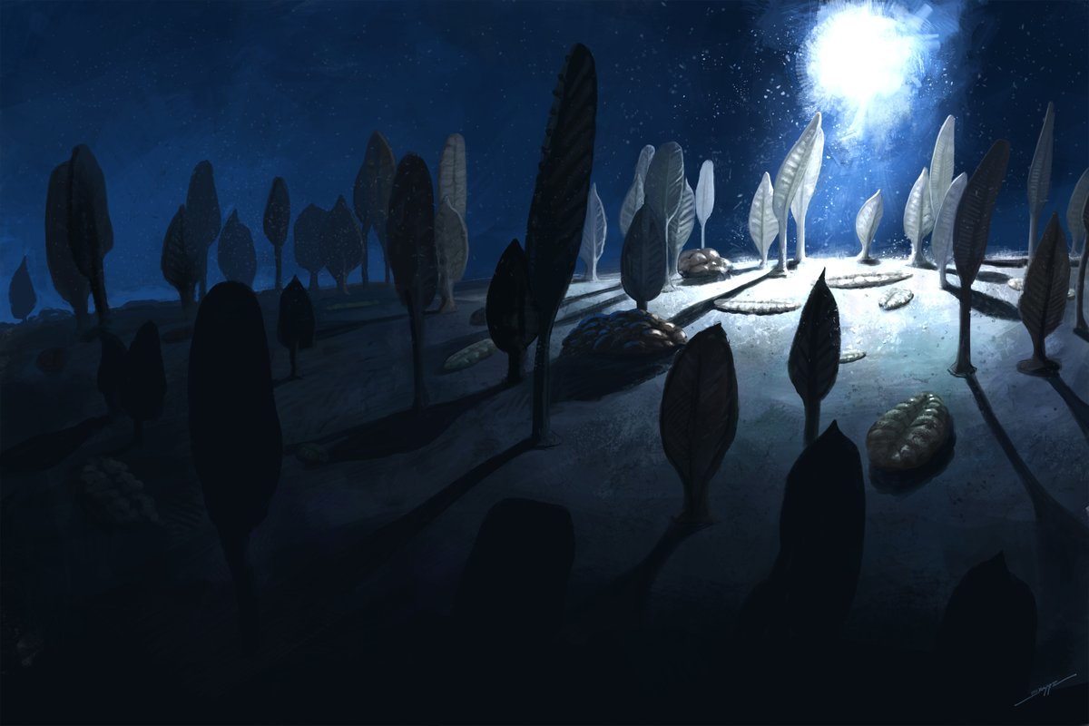 Liam Elward Paleoart 🇵🇸 tweet media