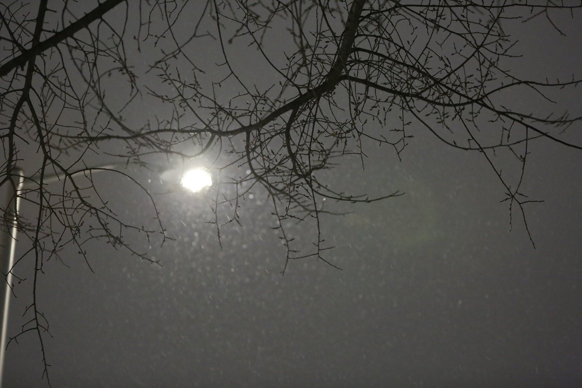 RyanWelchPhotog's tweet photo. Some snapshots of the snowfall on the west end of Providence tonight. https://t.co/iW8P3g6HlY