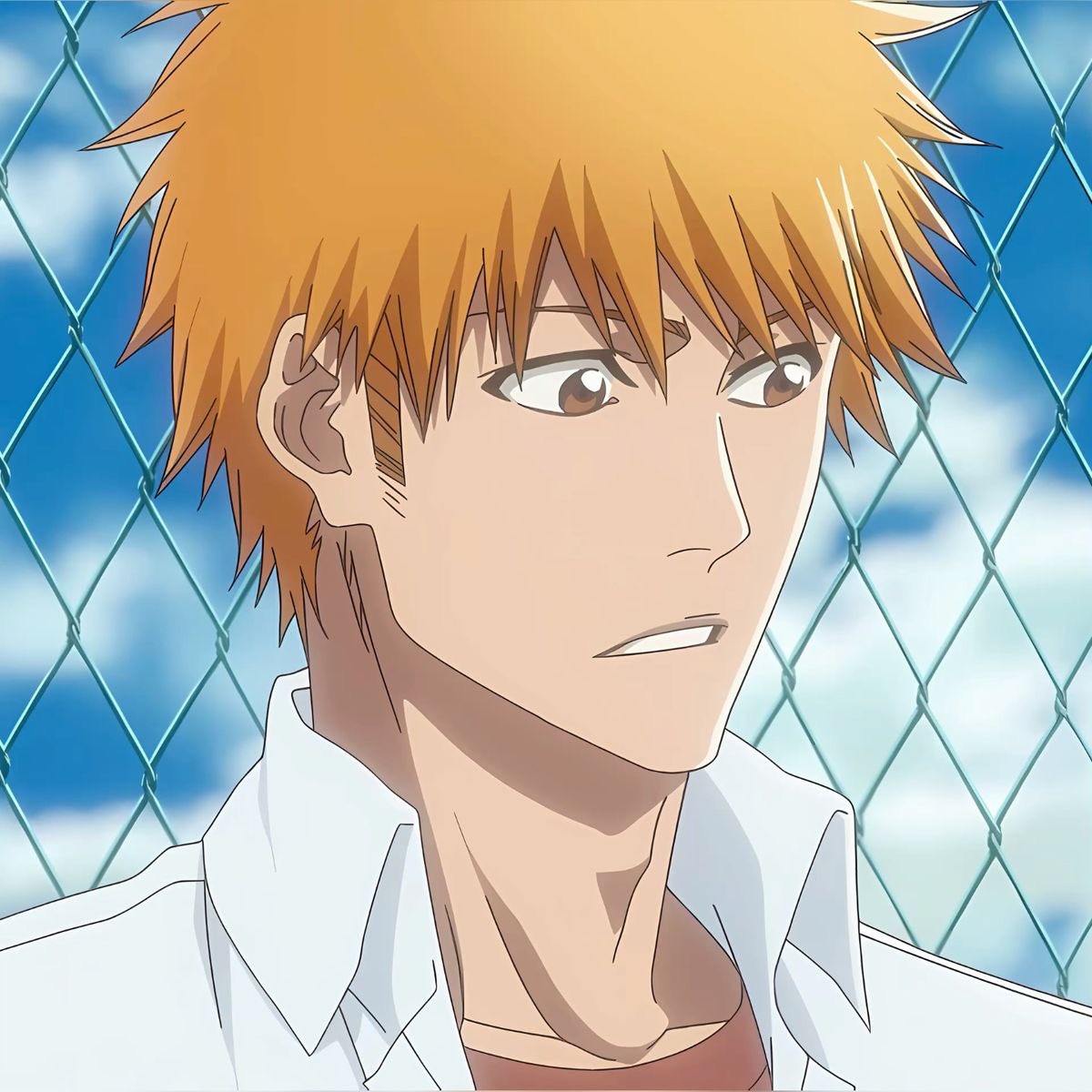 ichigo feed tweet media