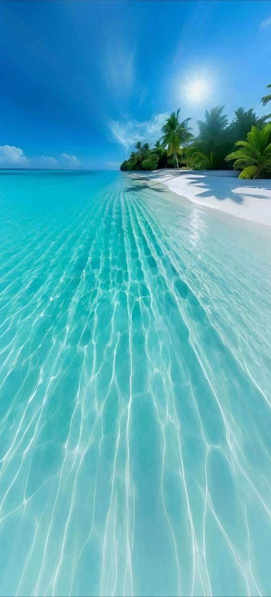 Elena (@natureonly17820) on Twitter photo 