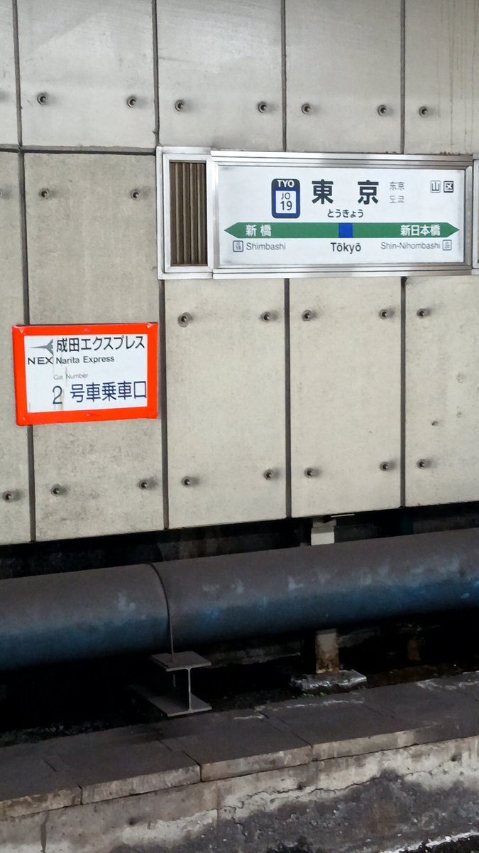 東京駅ちゅいた(^3^)/
これから総武線で移動ニャウ
(=^ェ^=)