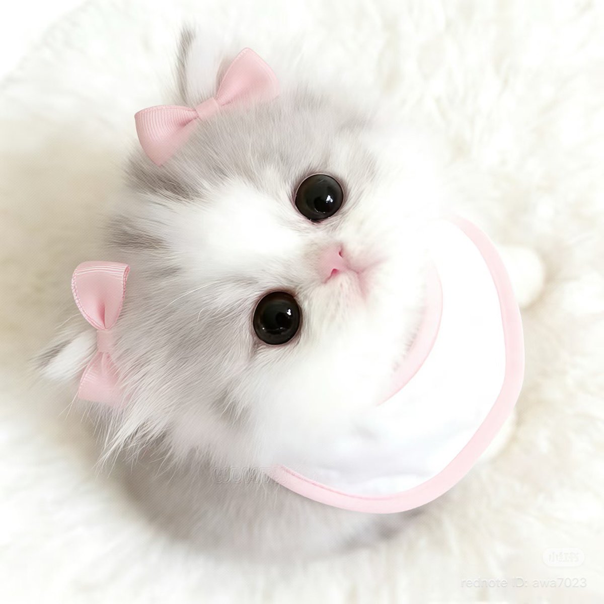 piinkimi_'s tweet image. me &amp;amp; him