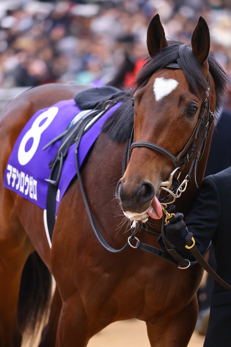 jsmntea's tweet image. あざとかわいすぎるでしょ。
#マテンロウゼロ