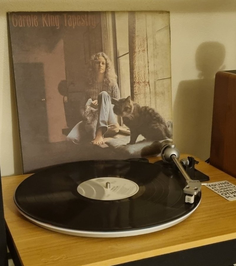 ℙ𝕒𝕣𝕜𝕒 𝕄𝕠𝕟𝕜𝕖𝕪 tweet media