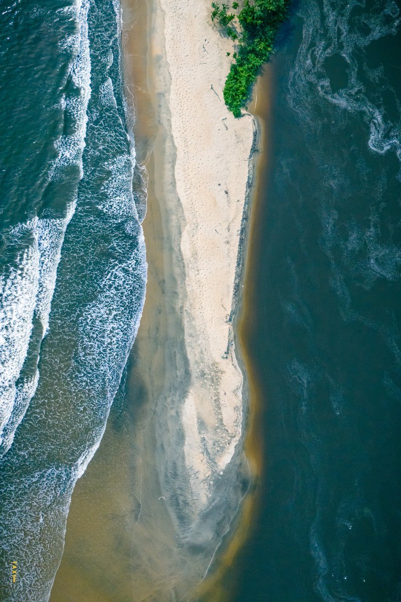 The Taxi Photographer 🚕📸 tweet media