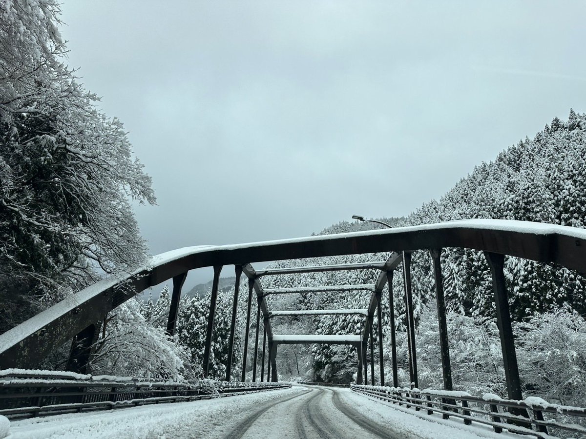 osushing's tweet image. 国道421の雪が凄かった(急な積雪)なぁ。
スタックしていた車やガードレールにぶつかっていたのはFFの乗用車…みー太郎の車は生活四駆だけど、雪道は四駆が強いことを改めて感じたよ( ˙꒳​˙  )