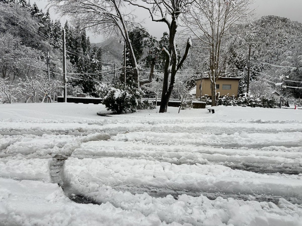 osushing's tweet image. 国道421の雪が凄かった(急な積雪)なぁ。
スタックしていた車やガードレールにぶつかっていたのはFFの乗用車…みー太郎の車は生活四駆だけど、雪道は四駆が強いことを改めて感じたよ( ˙꒳​˙  )