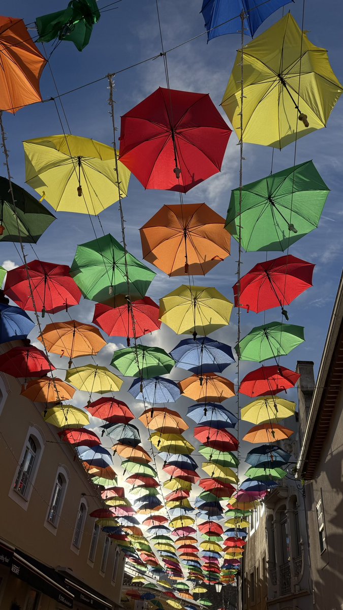 Blonde Around the World tweet media