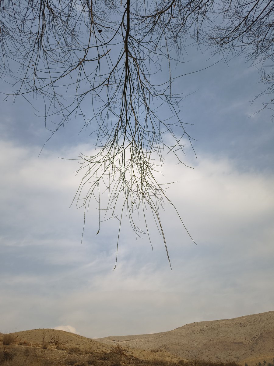 Beh91 (@behdadjalali) on Twitter photo 