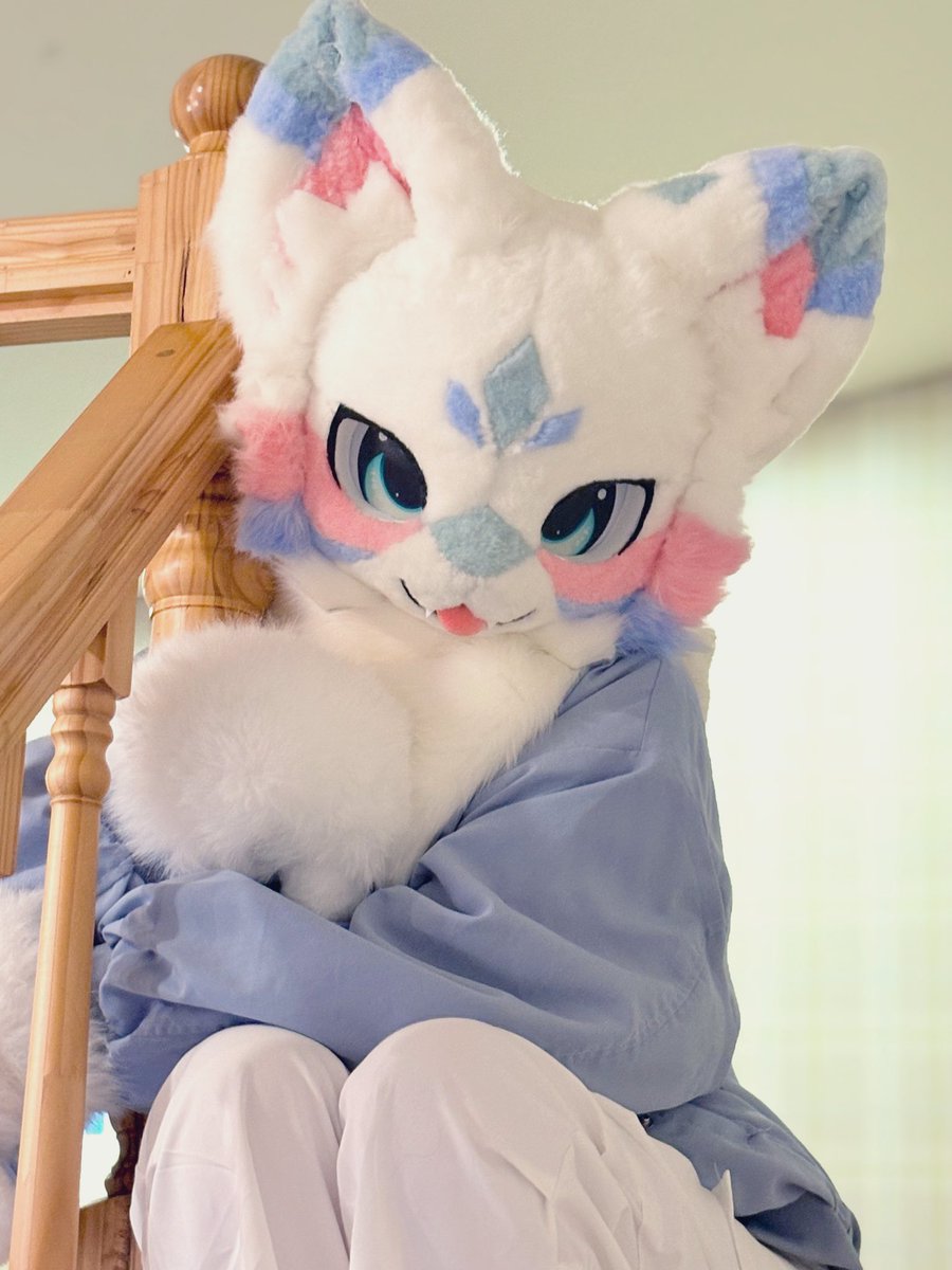 코냐🦊 tweet media