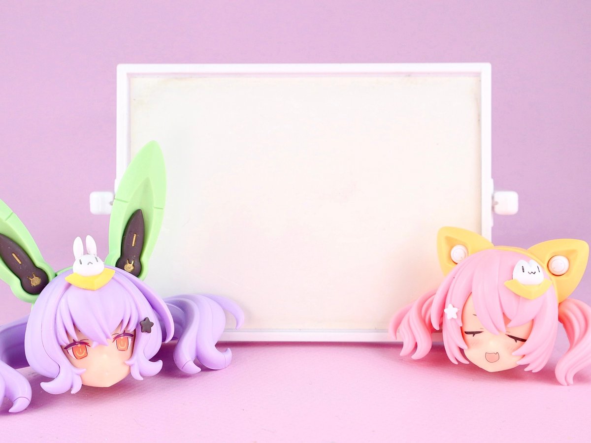 🐱マオさいはんだって！
🐰へー