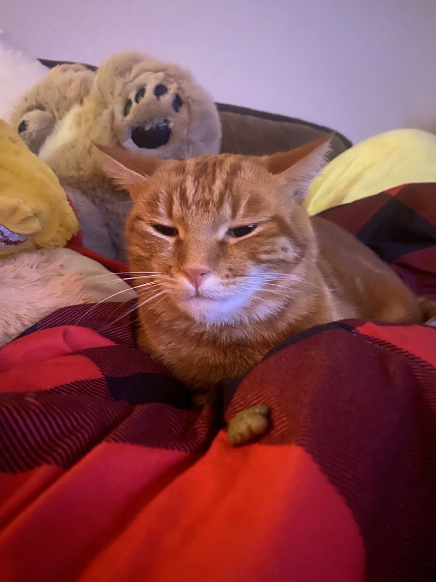 TTMilkyTT's tweet photo. a legend was lost https://t.co/z4hgnKuzYA