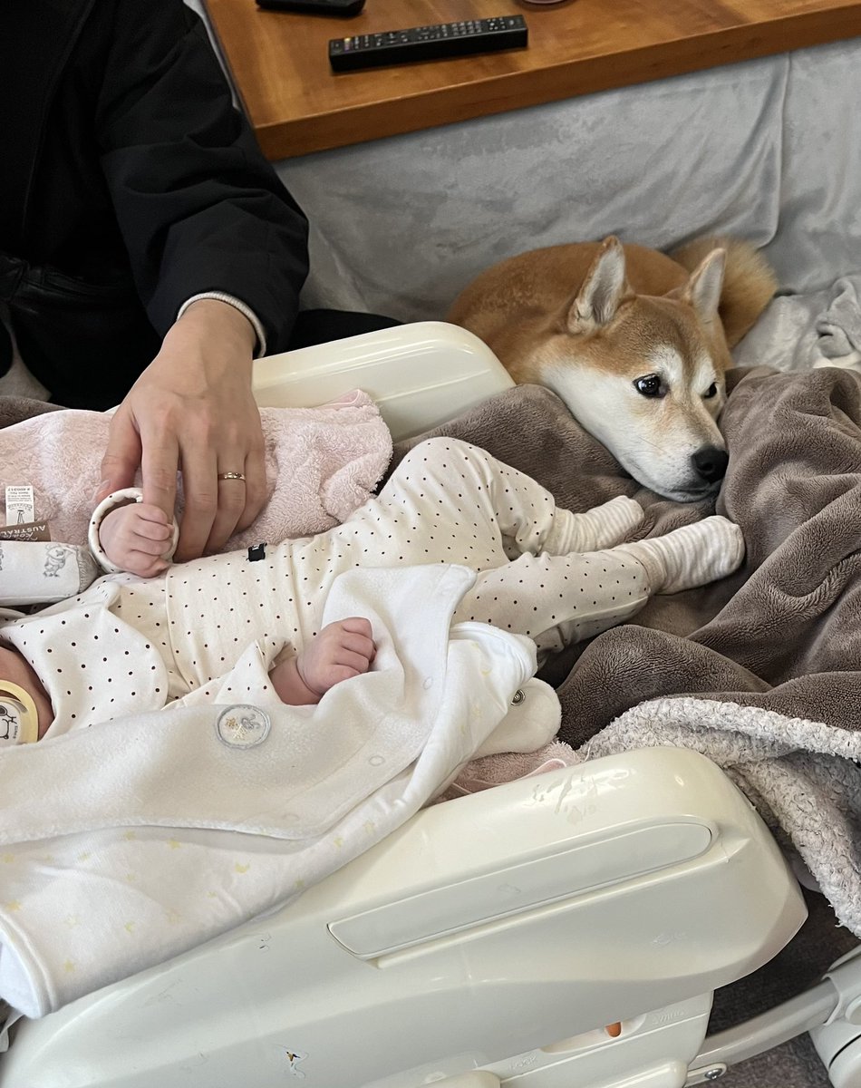 赤ちゃん近くにアゴのせさせて😍